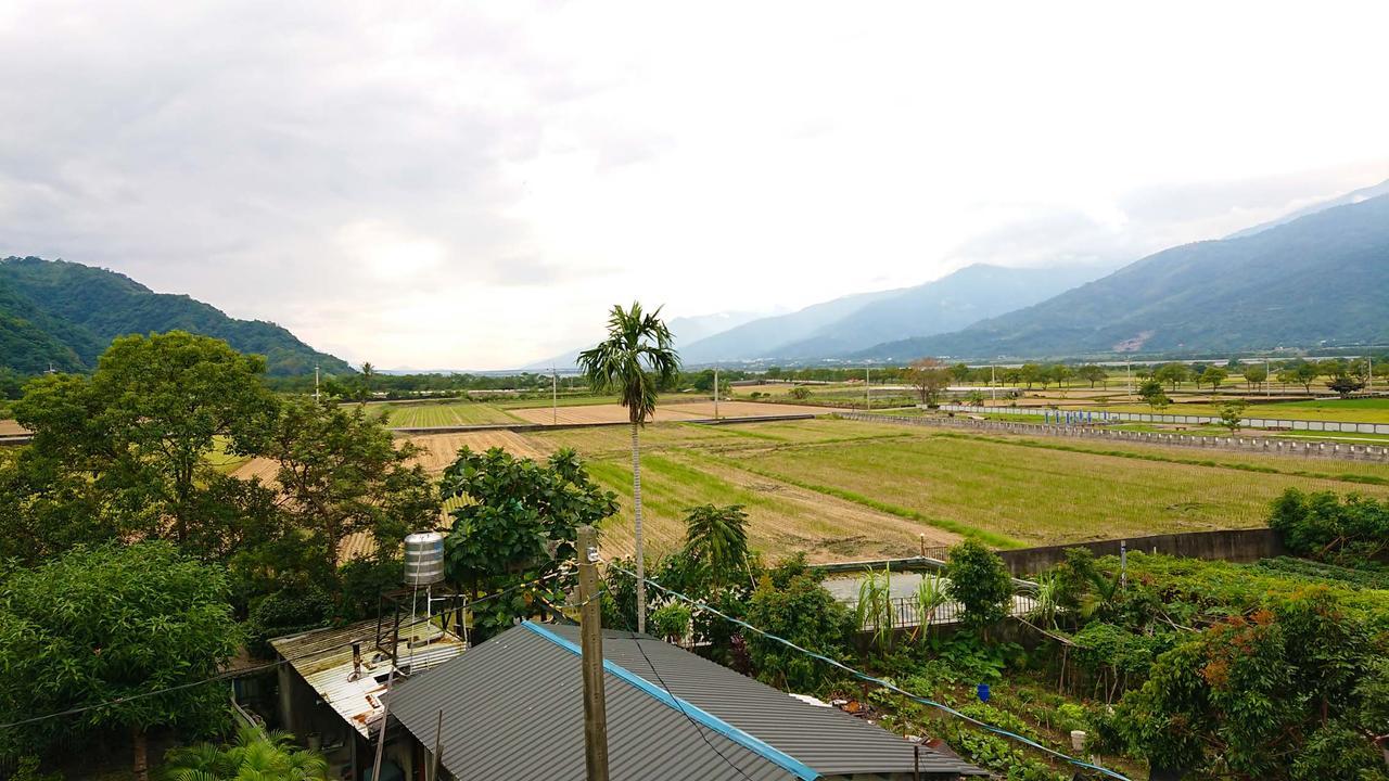 玉里镇高寮贰陆之贰公寓 外观 照片